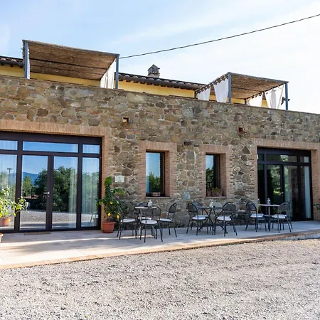 Poggio Del Pero -3 By Interhome Colle Calzolaro